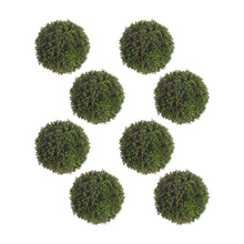Load image into Gallery viewer, Boxwood Sedum Orb (Set of 8)