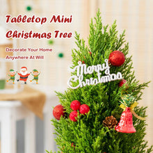 Load image into Gallery viewer, 18.5 Inch Tabletop Artificial Christmas Tree with 170 PE Branches and Pulp Stand
