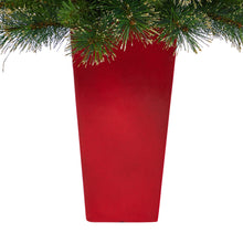 Load image into Gallery viewer, 44' Golden Tip Washington Pine Artificial Christmas Tree w/ 50 Clear Lights