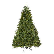 Load image into Gallery viewer, 7' Sierra Spruce 'Natural Look' Artificial Christmas Tree w/ 500 Clear LED Light