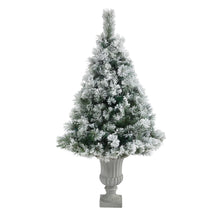 Load image into Gallery viewer, 56' Flocked Oregon Pine Artificial Christmas Tree w/ 100 Clear Lights
