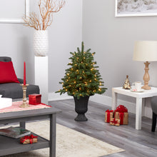 Load image into Gallery viewer, 3.5' South Carolina Spruce Artificial Christmas Tree w/ 100 White Warm Light