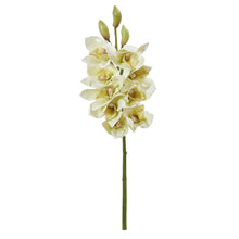Load image into Gallery viewer, 20" Cymbidium Orchid Artificial Flower (Set of 4)