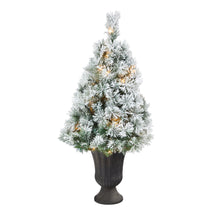 Load image into Gallery viewer, 44' Flocked Oregon Pine Artificial Christmas Tree w/ 50 Clear Lights