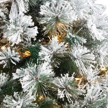 Load image into Gallery viewer, 56' Flocked Oregon Pine Artificial Christmas Tree w/ 100 Clear Lights