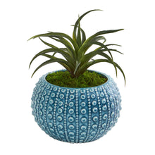 Load image into Gallery viewer, Air Plant Artificial Succulent in Blue Vase (Set of 2)