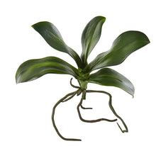 Load image into Gallery viewer, 9" Phalaenopsis Orchid Leaf Artificial Flower (Set of 6)