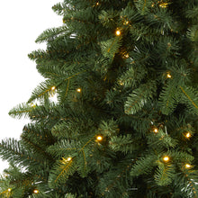 Load image into Gallery viewer, 7' Grand Teton Spruce Flat Back Artificial Christmas Tree w/220 Clear LED