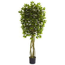 Load image into Gallery viewer, 5.5' Ficus Tree UV Resistant (Indoor/Outdoor)