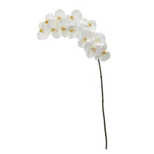 Load image into Gallery viewer, 44" Phalaenopsis Orchid Artificial Flower (Set of 3)