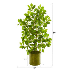 Load image into Gallery viewer, 37" Mini Ficus Artificial Tree in Green Planter