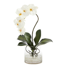 Load image into Gallery viewer, 17" Phalaenopsis Orchid Artificial Arrangement in Glass Vase