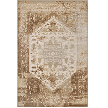 Load image into Gallery viewer, Rosina Distressed Vintage Medallion 5x8 Area Rug by Modway