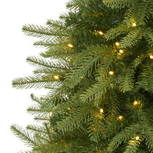 Load image into Gallery viewer, 4' Vancouver Fir 'Natural Look' Artificial Christmas Tree w/ 250 Clear LED Light
