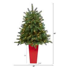 Load image into Gallery viewer, 3.5' South Carolina Spruce Artificial Christmas Tree w/ 100 White Warm Light