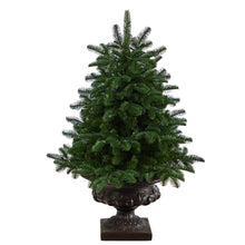Load image into Gallery viewer, 3.5' South Carolina Spruce Artificial Christmas Tree w/ 100 White Warm Light