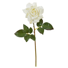 Load image into Gallery viewer, 20" Rose Artificial Flower (Set of 6)
