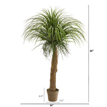 Load image into Gallery viewer, 5' Molina Artificial Plant