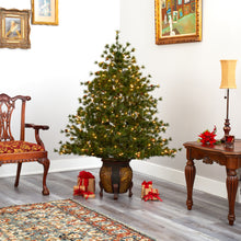 Load image into Gallery viewer, 5.5' Colorado Mountain Pine Artificial Christmas Tree w/ 250 Clear Lights