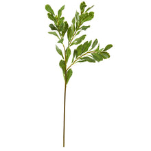 Load image into Gallery viewer, 28" Salal Artificial Spray (Set of 4)