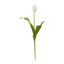 Load image into Gallery viewer, 23" Dutch Tulip Artificial Flower (Set of 12)