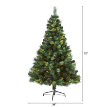 Load image into Gallery viewer, 6' Assorted Green Scotch Pine Artificial Christmas Tree with 250 LED Lights