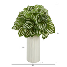Load image into Gallery viewer, 15" Watermelon Peperomia Artificial Plant in White Planter (Real Touch)