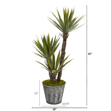 Load image into Gallery viewer, 52" Yucca Artificial Tree in Embossed Black Planter