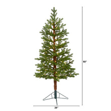 Load image into Gallery viewer, 5' Fairbanks Fir Artificial Christmas Tree with 150 Clear Warm LED Lights