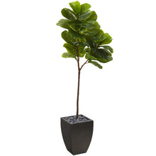 Load image into Gallery viewer, 5.5' Fiddle Leaf Artificial Tree in Black Planter (Real Touch)