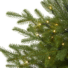 Load image into Gallery viewer, 4' Swedish Fir Artificial Christmas Tree w/ 160 Warm White LED Lights & 403 Bend