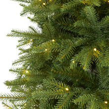 Load image into Gallery viewer, 6' Vancouver Fir 'Natural Look' Artificial Christmas Tree w/ 350 Clear LED Light