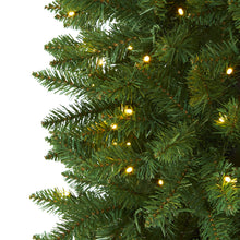 Load image into Gallery viewer, 7' Slim Green Mountain Pine Artificial Christmas Tree with 300 Clear LED Lights