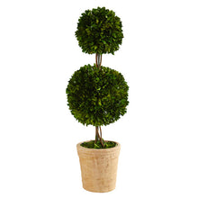 Load image into Gallery viewer, 2.5' Preserved Boxwood Double Ball Topiary Tree in Decorative Planter