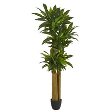 Load image into Gallery viewer, 6' Corn Stalk Dracaena Artificial Plant (Real Touch)