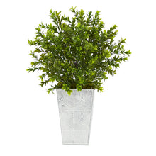 Load image into Gallery viewer, 19" Boxwood Artificial Plant in Embossed White Planter