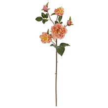 Load image into Gallery viewer, 23" Chelsea Artificial Flower (Set of 6)