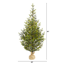 Load image into Gallery viewer, 5' Fraser Fir "Natural Look" Artificial Christmas Tree w 200 Clear LED Lights
