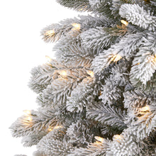 Load image into Gallery viewer, 6' Flocked South Carolina Spruce Artificial Christmas Tree w 450 Clear Lights
