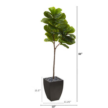 Load image into Gallery viewer, 5.5' Fiddle Leaf Artificial Tree in Black Planter (Real Touch)