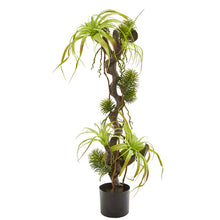 Load image into Gallery viewer, 41" Air Plant and Succulent Jungle Artificial Plant