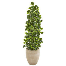 Load image into Gallery viewer, 42" Variegated Holly Leaf Artificial Tree in Sand Colored Planter (Real Touch)