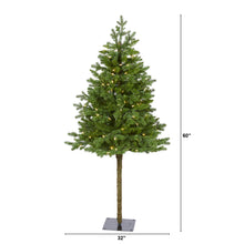 Load image into Gallery viewer, 5' Swiss Alpine Artificial Christmas Tree with 150 Clear LED Lights