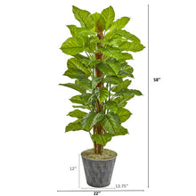 Load image into Gallery viewer, 58" Philodendron Artificial Plant in Black Embossed Planter (Real Touch)