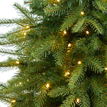 Load image into Gallery viewer, 57' Vancouver Fir 'Natural Look' Artificial Christmas Tree w/ 250 Clear LED