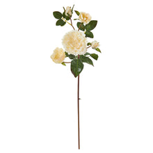 Load image into Gallery viewer, 23" Chelsea Artificial Flower (Set of 6)