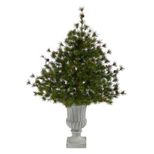Load image into Gallery viewer, 44' Colorado Mountain Pine Artificial Christmas Tree w/ 50 Clear Lights