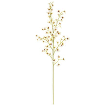 Load image into Gallery viewer, 36" Oncidium Artificial Flower (Set of 4)