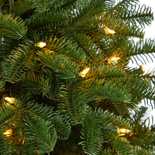Load image into Gallery viewer, 3.5' South Carolina Spruce Artificial Christmas Tree w/ 100 White Warm Light