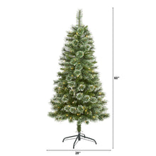 Load image into Gallery viewer, 5' Wisconsin Slim Snow Tip Pine Artificial Christmas Tree w/ 150 Clear LED Light